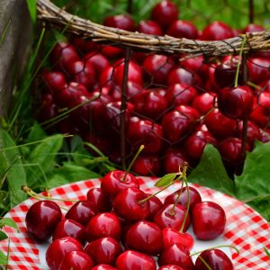 cherries-1503977_1920