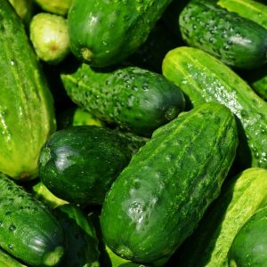 cucumbers-849269_1920