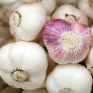 garlic-84691_1920